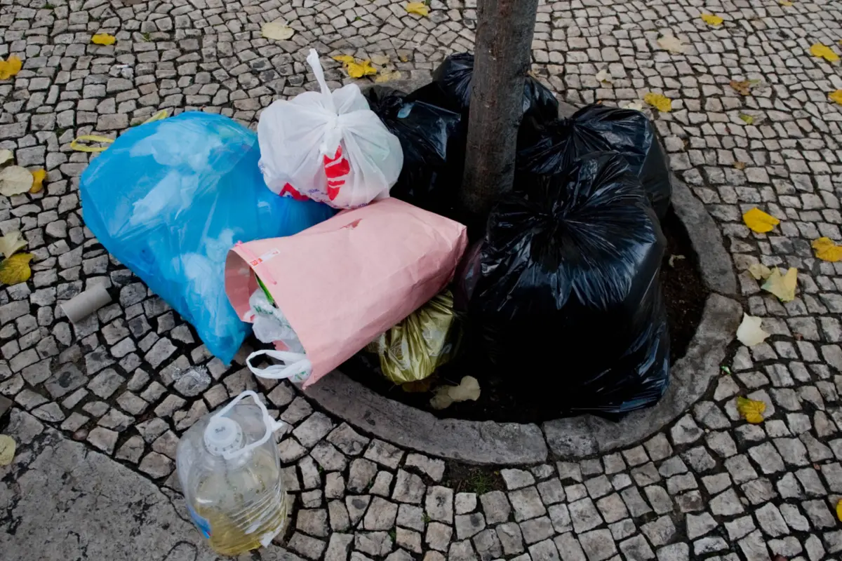 Imagem de contexto do artigo Greve na higiene urbana em Lisboa: sindicatos apresentam providência cautelar para anular serviços mínimos