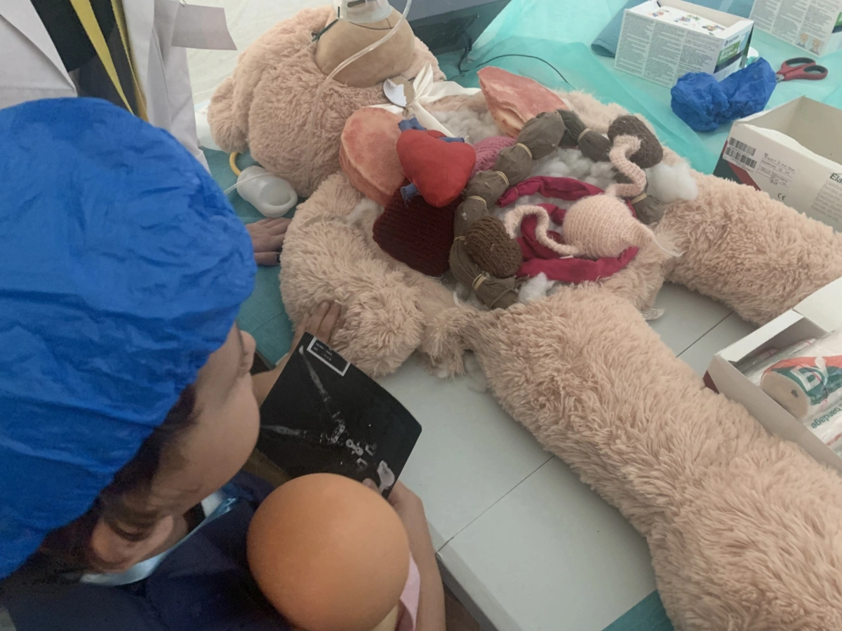 Imagem de contexto do artigo Hospital dos Bonequinhos, uma iniciativa onde se trata o "medo e receio de falar com médicos"