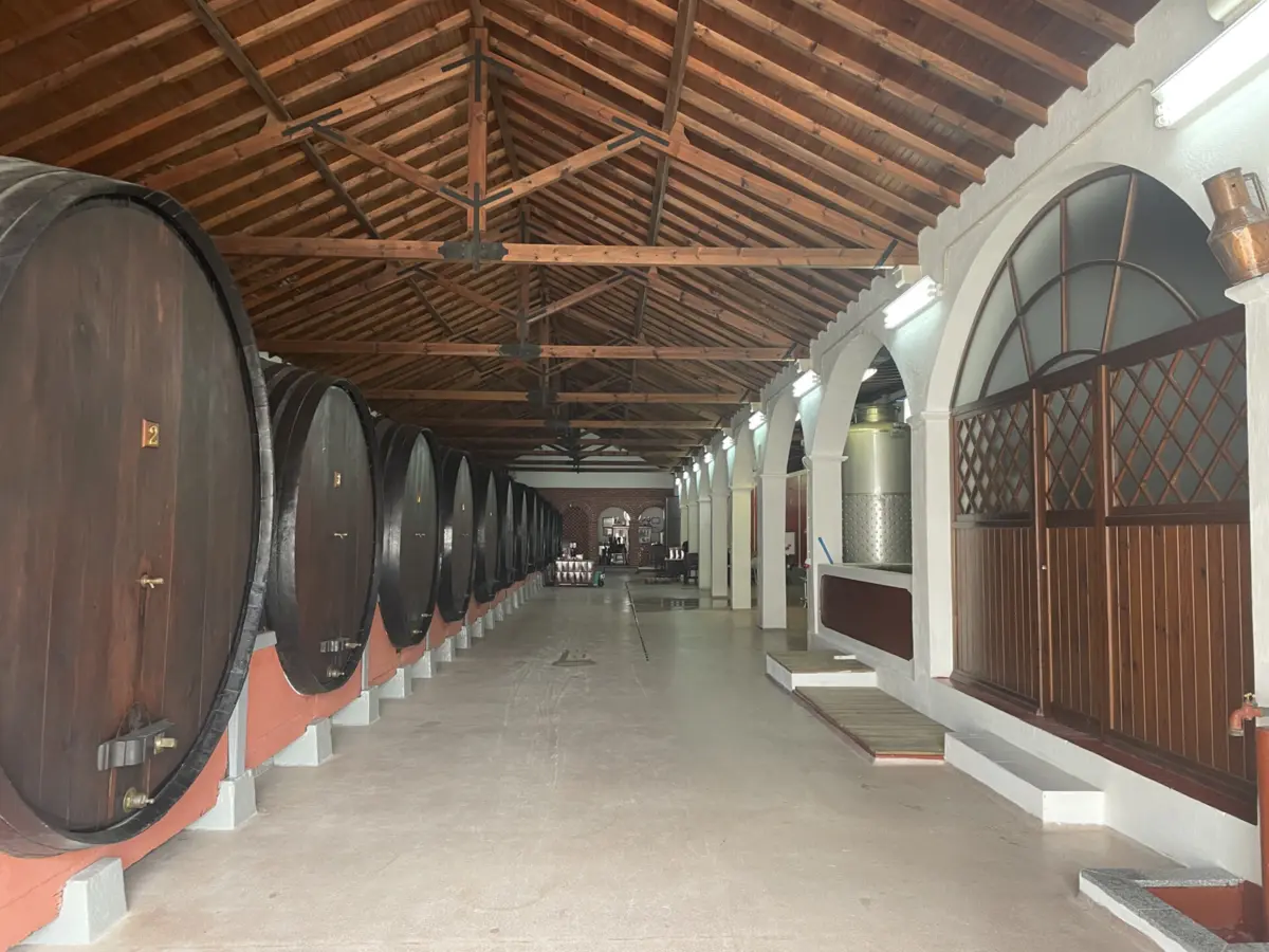 Imagem de contexto do artigo Um vinho com sabor a liberdade: o "Chão de Urze" dos reclusos de Alcoentre