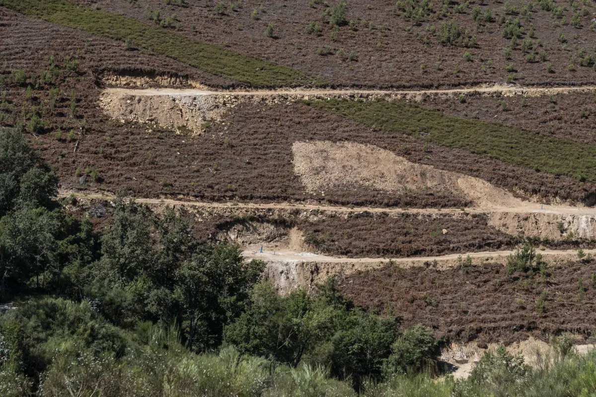 Imagem de contexto do artigo Exploração de lítio: autarca de Boticas acusa mineira britânica de agir num "estilo colonialista"