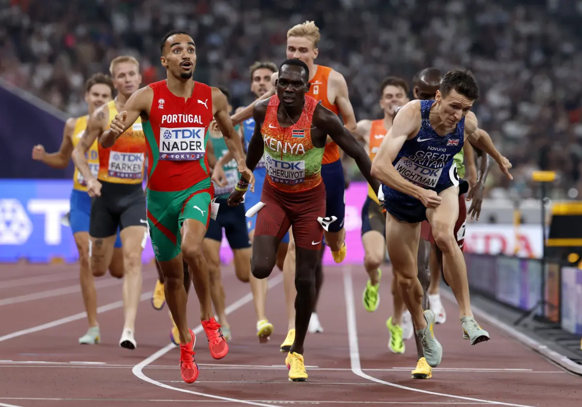 Imagem de contexto do artigo Presidente da federação diz que Isaac Nader "quase o matava do coração". Hassan Nader diz que é um ouro "luso-marroquino"