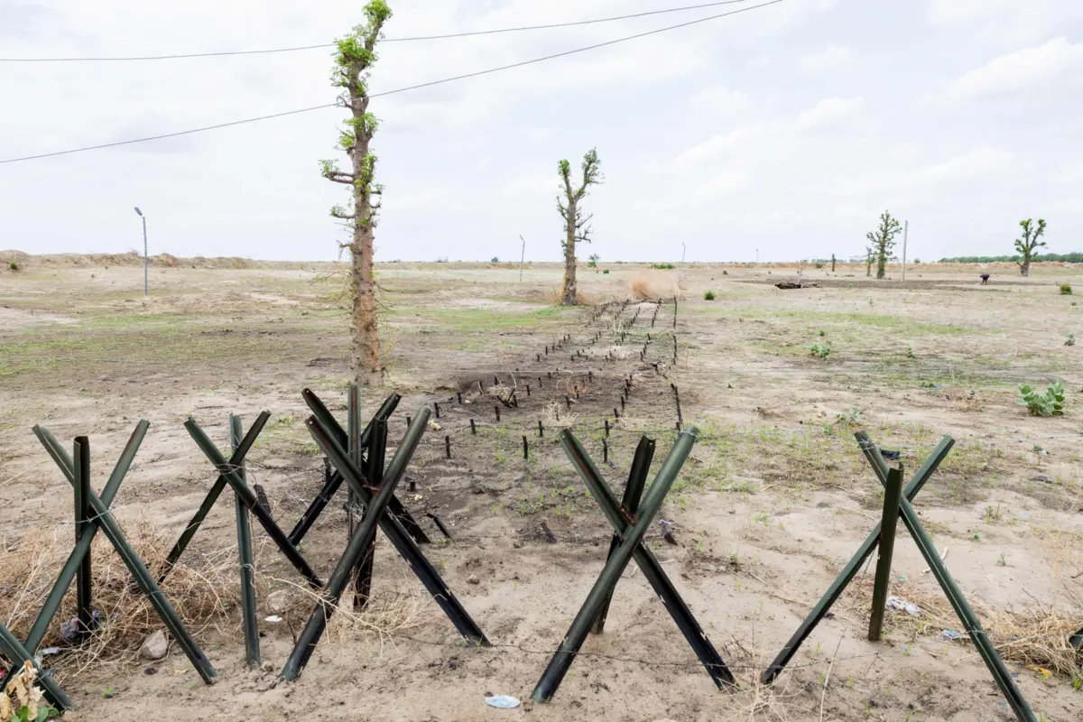 Imagem de contexto do artigo Nigéria disponível para reunião com Donald Trump para os próximos dias