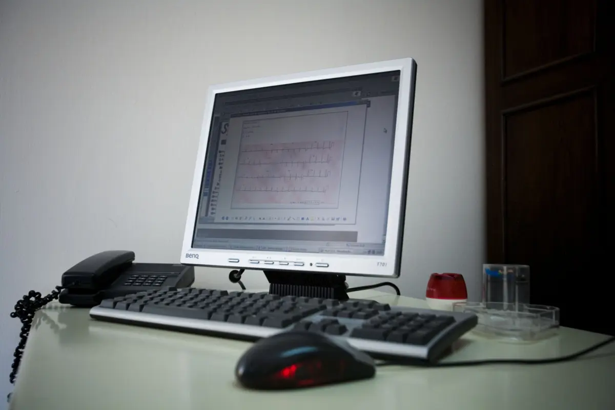 Regista-se assim um aumento de 106% neste campo em comparação com 2022