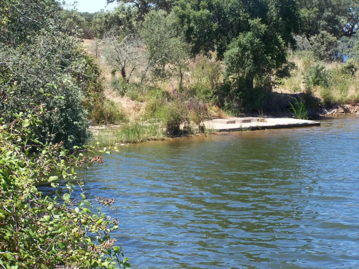 Imagem de contexto do artigo Problema na Barragem do Monte Novo motiva alerta de cheias. Agricultores "atentos" dizem que "estão habituados"