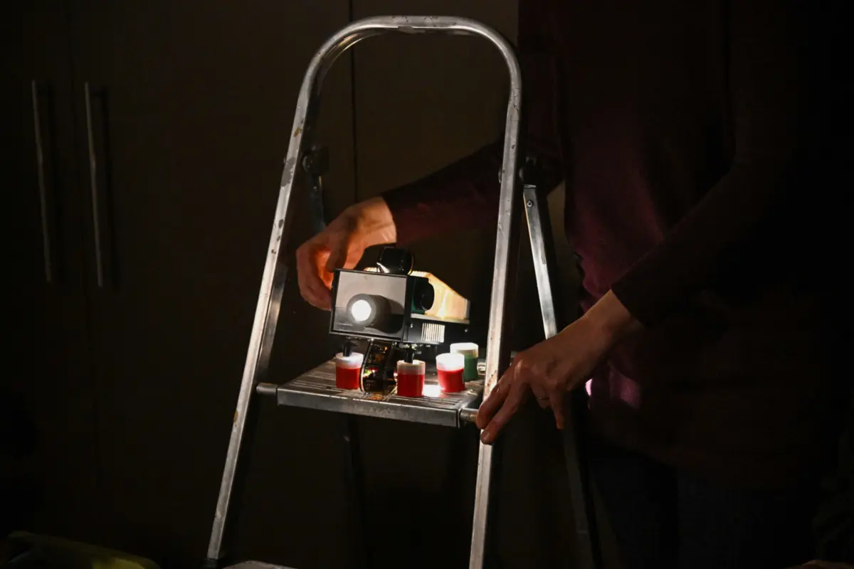 Imagem de contexto do artigo Festival Caminhos do Cinema Português leva a Coimbra um "ramalhete de grandes obras" nacionais