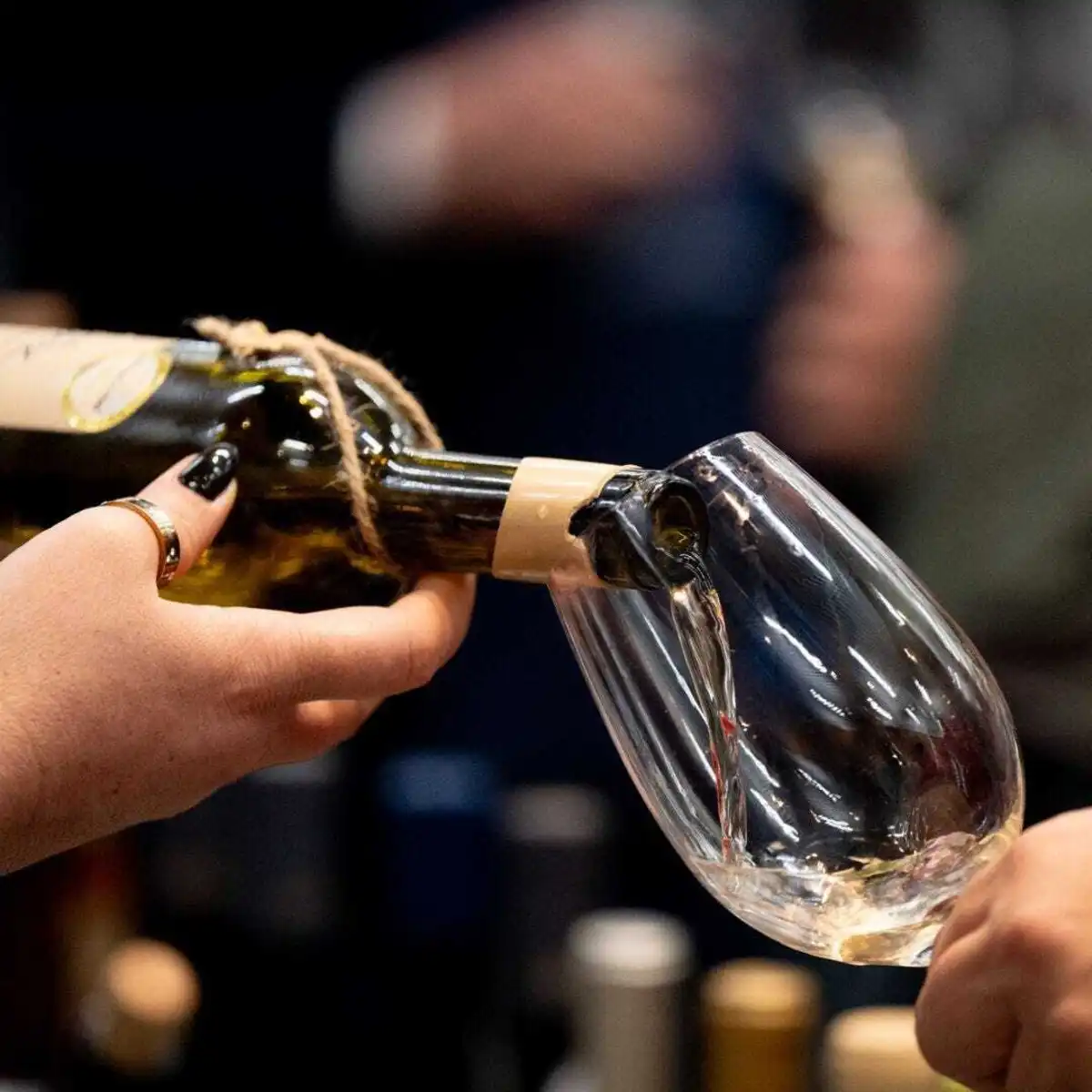 Imagem de contexto do artigo Enóphilo assinala no Porto uma década do evento que divulga e celebra o vinho