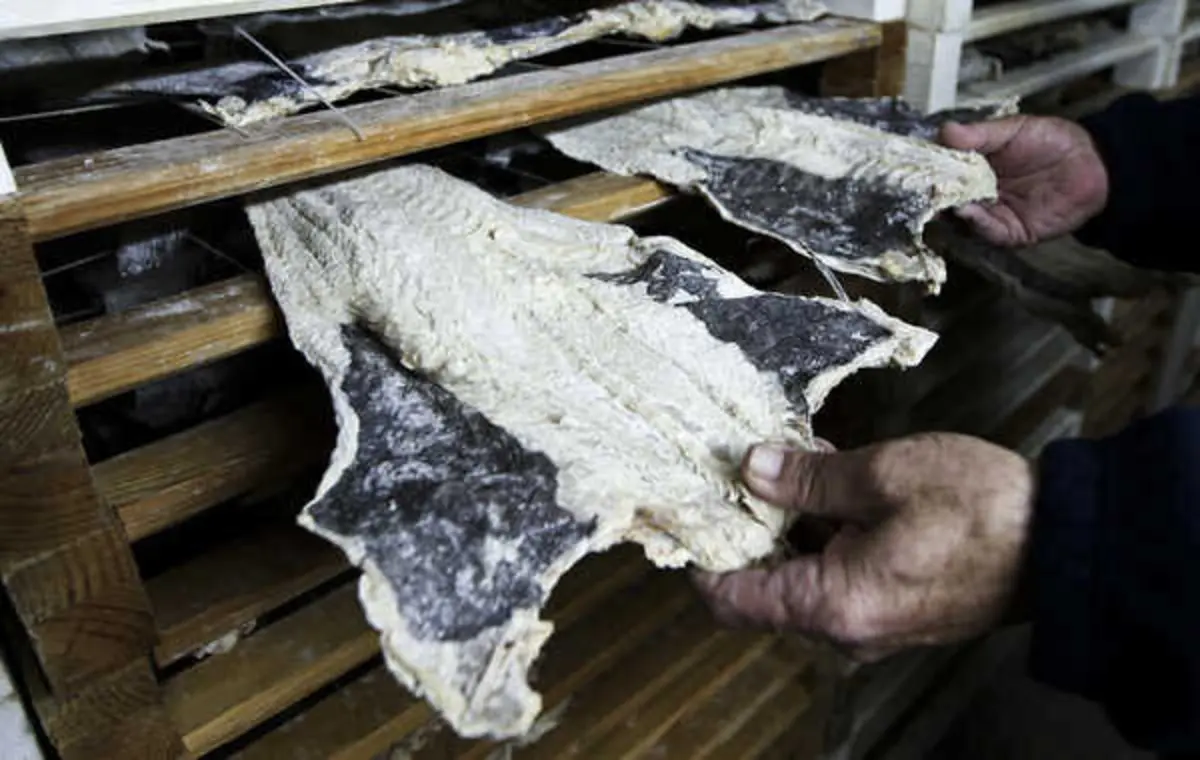 Imagem de contexto do artigo Bacalhau: pescadores portugueses podem voltar à Terra Nova em 2025