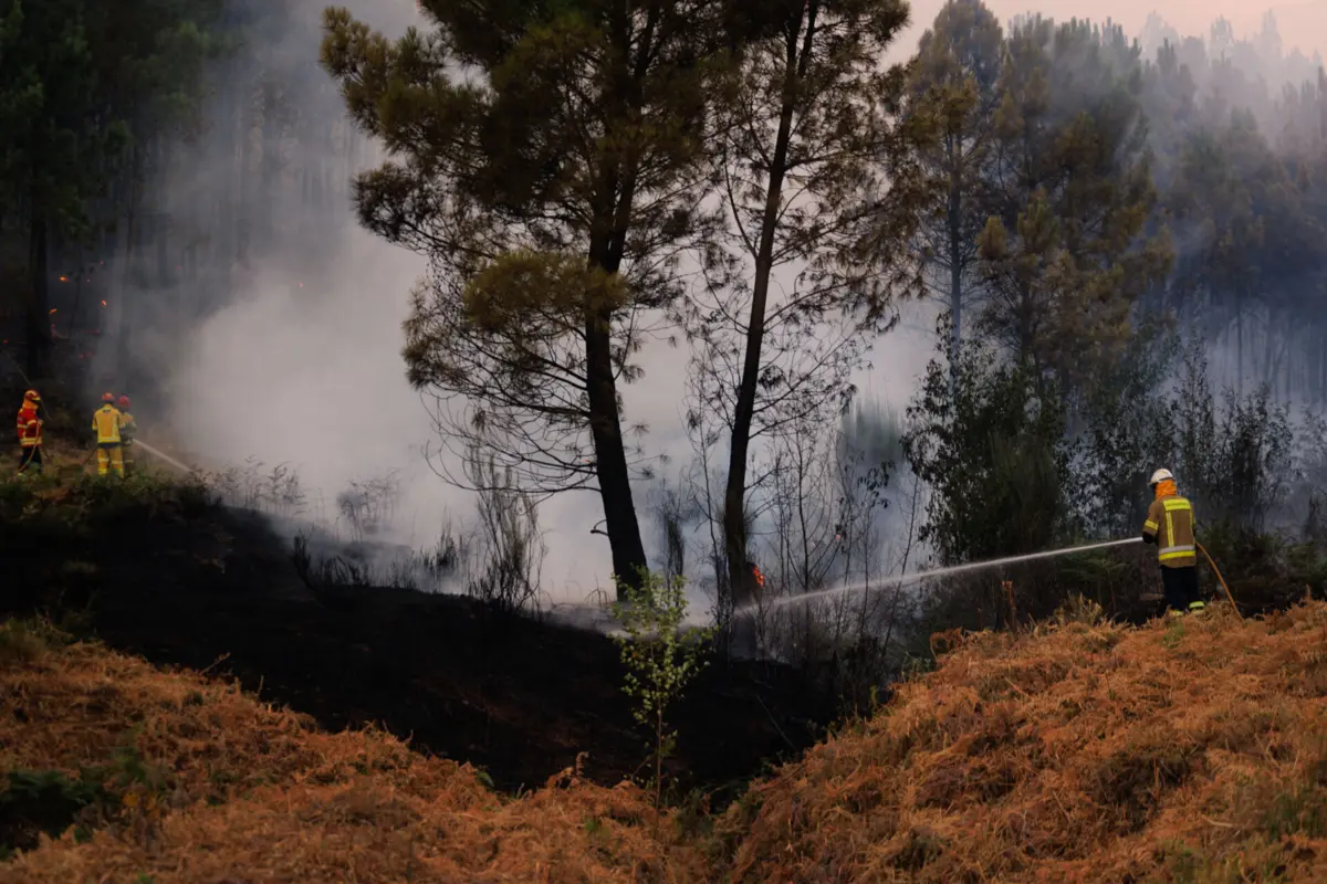 Imagem de contexto do artigo Incêndio em Trancoso não dá tréguas: há duas aldeias na linha do fogo, Proteção Civil apela à "sensibilidade da população"