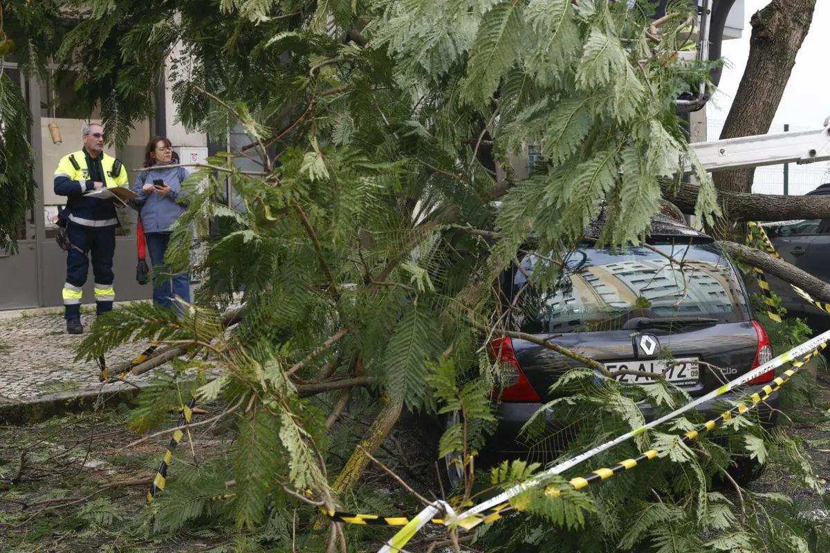 Imagem de contexto do artigo Proteção Civil de Lisboa e Vale do Tejo alerta para risco de cheias e derrocadas