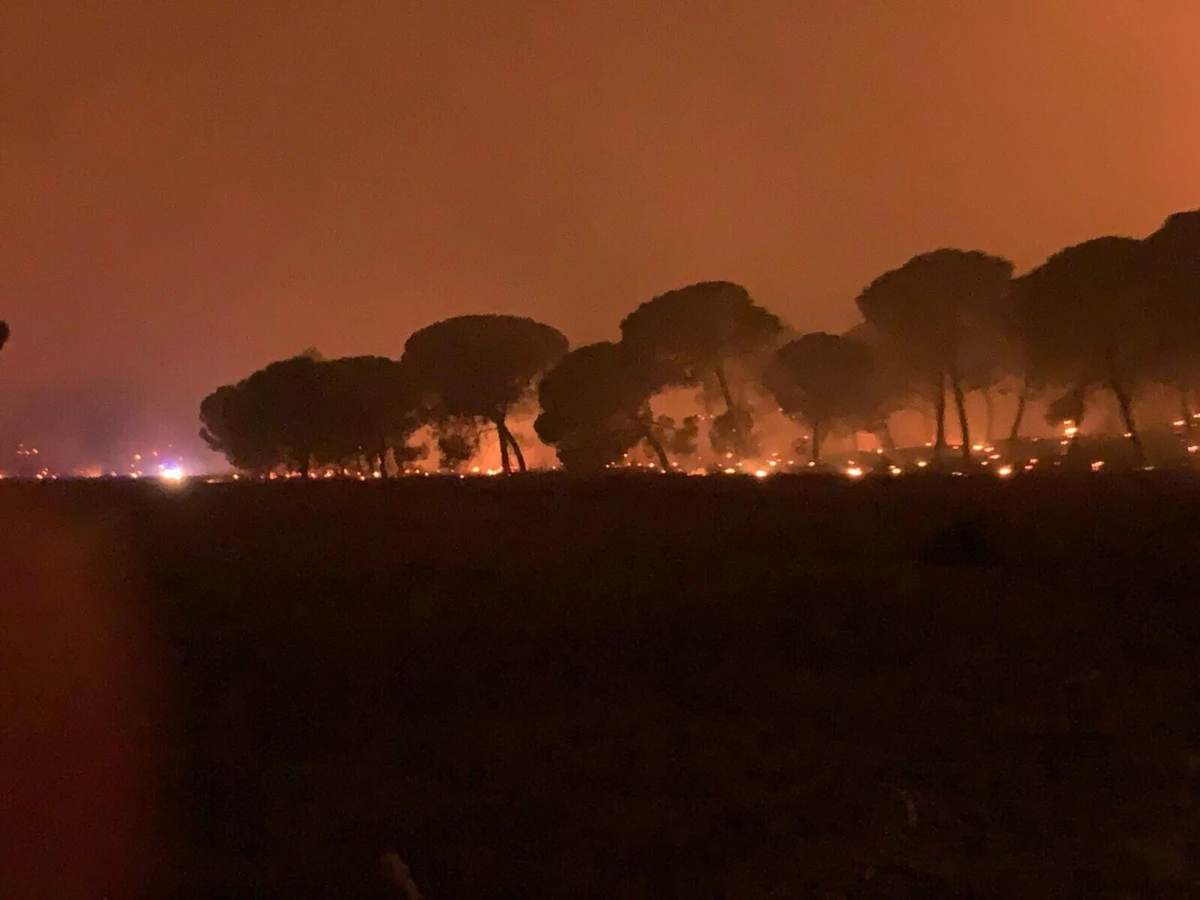 Imagem de contexto do artigo Incêndio no Seixal está a 500 metros do paiol de munições da NATO. Há mais de 400 bombeiros no terreno