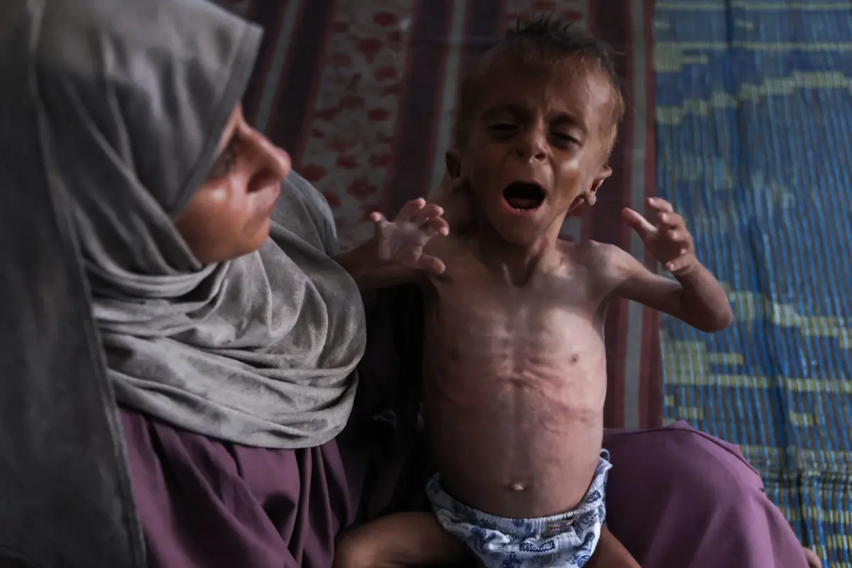 Imagem de contexto do artigo Reconhecer a Palestina "não salva a vida dos bebés que vão morrer nas próximas horas, mas mostra apoio" a quem vive "genocídio"