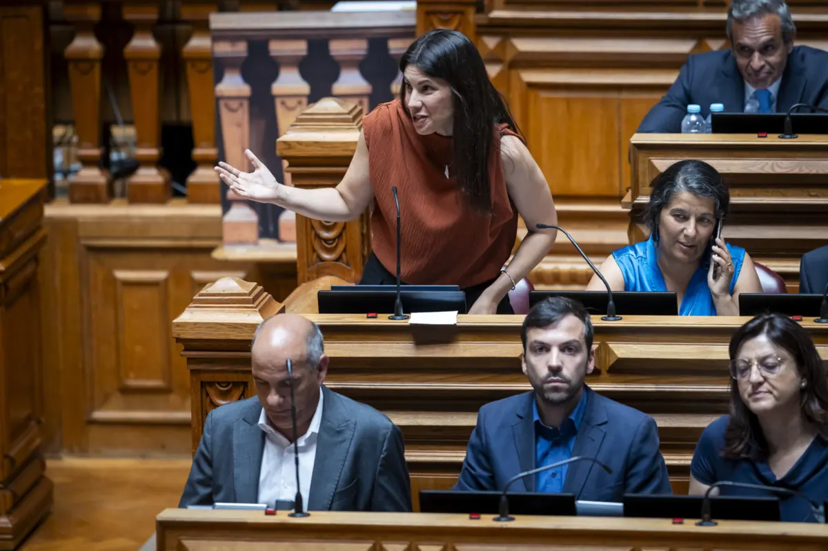 A dirigente bloquista defende que o Parlamento deve reiniciar a discussão do diploma ouvindo "quem deve ouvir"