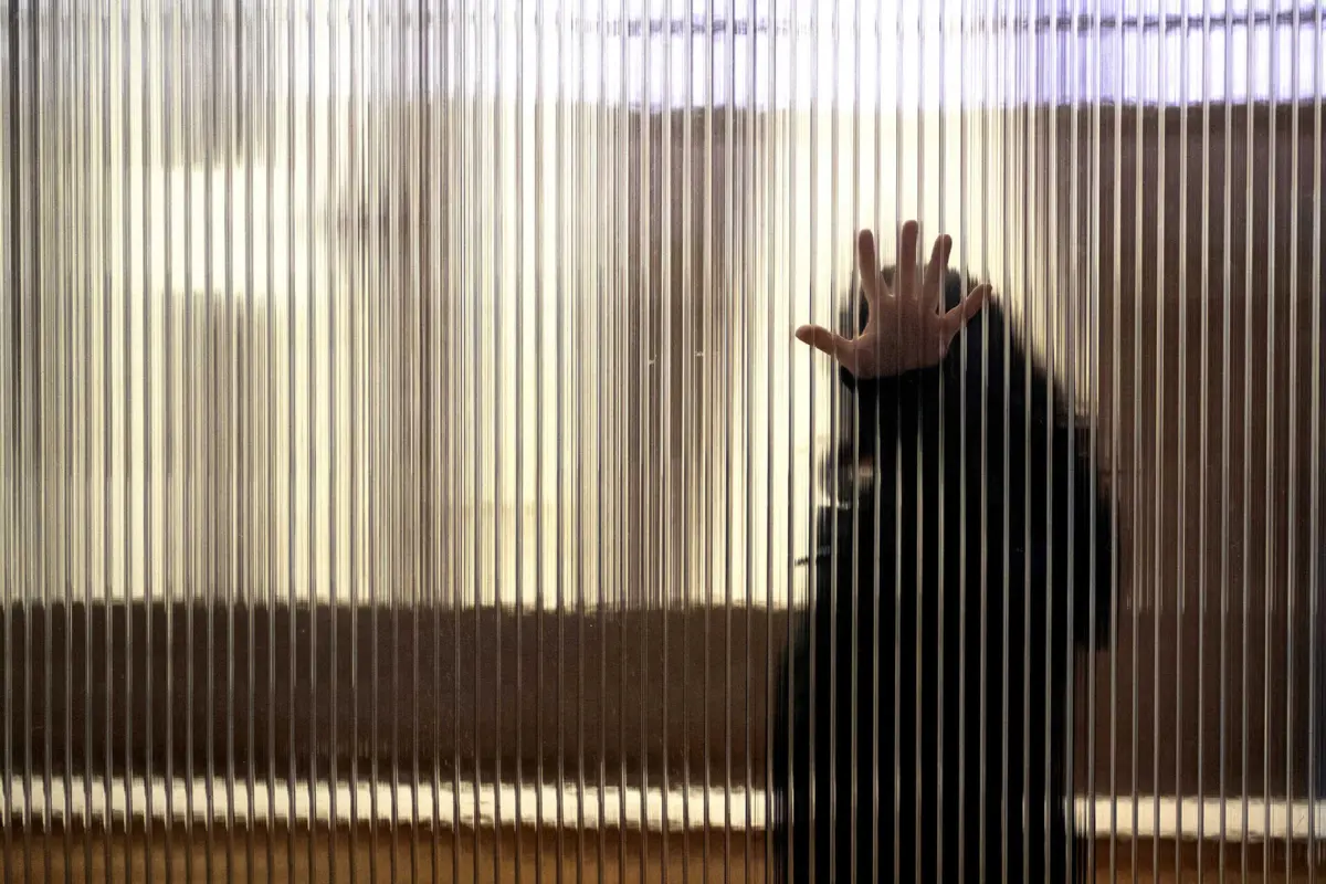 Imagem de contexto do artigo Registadas 77 queixas desde janeiro: APAV alerta para "normalização" do bullying e "culpabilização" da vítima