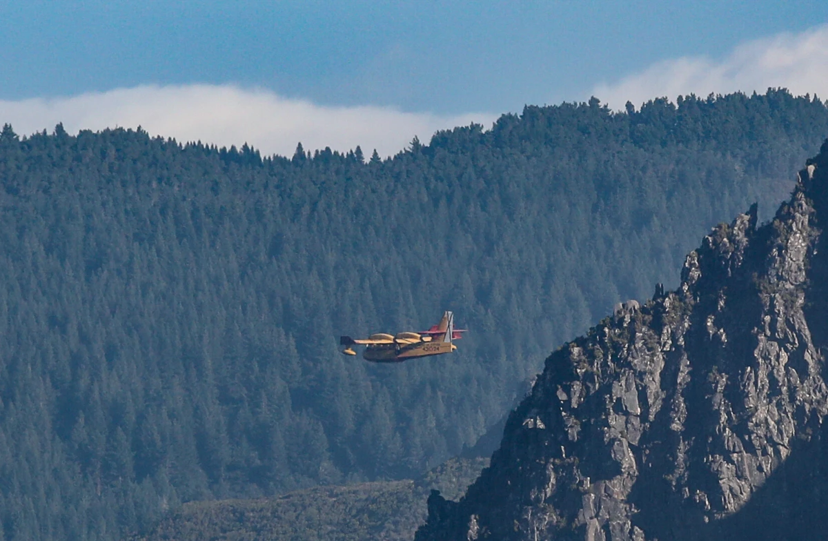 Imagem de contexto do artigo Fogo na Madeira está controlado e em fase de rescaldo