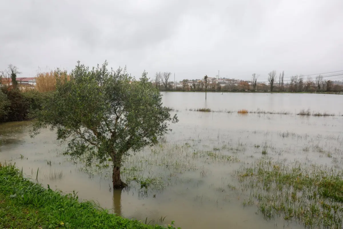 Imagem de contexto do artigo Ponte "em risco" leva autarquia de Soure a ponderar retirar pessoas de casa