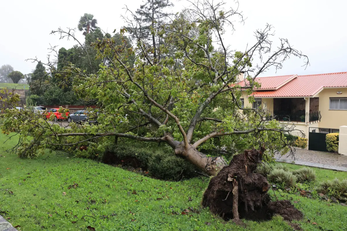 Por causa do tempo, sobretudo o vento forte, a Autoridade Nacional de Emergência e Proteção Civil registou entre as 18h00 de terça-feira e as 09h00 desta quarta-feira 1329 ocorrências