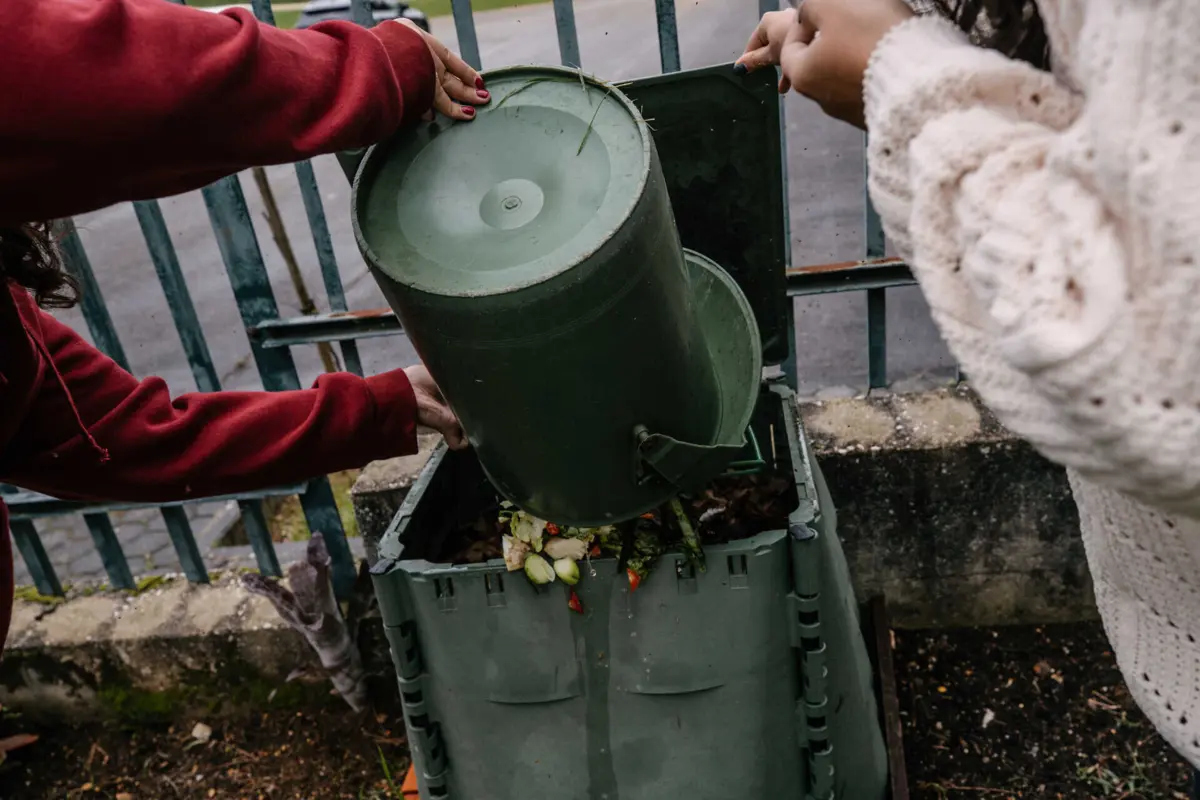 Imagem de contexto do artigo Recolha de biorresíduos: Zero alerta para "desempenho insuficiente" em quase todo o país