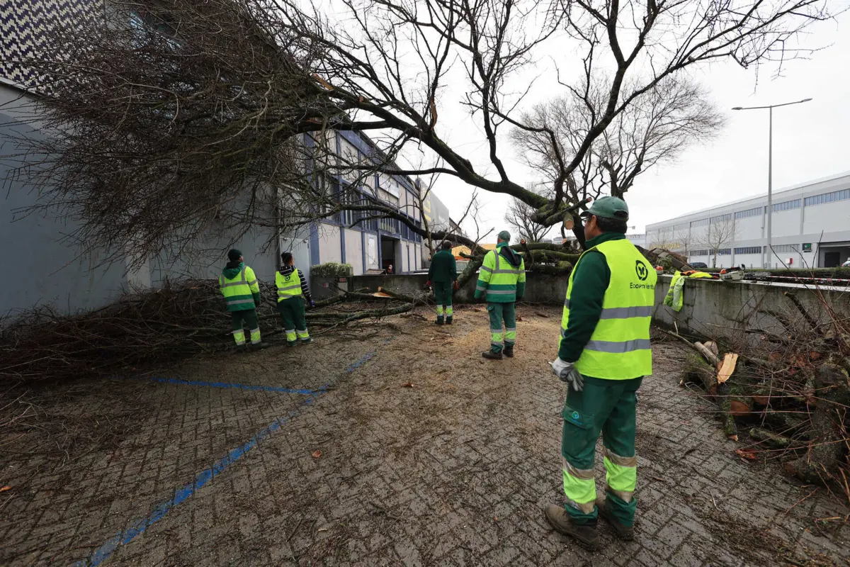 Imagem de contexto do artigo Dezenas de pessoas de parque de campismo em Pinhal Novo obrigadas a sair de residências