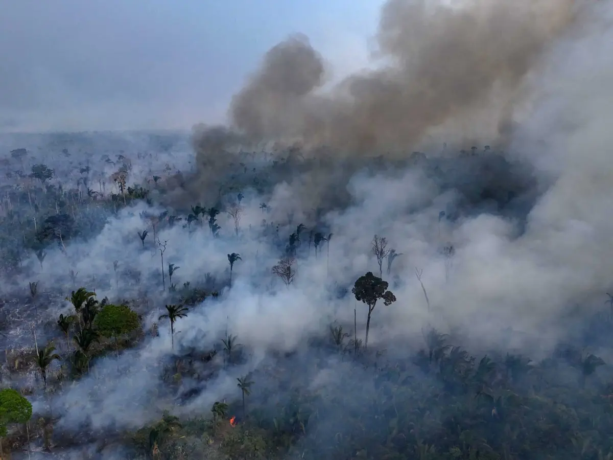 Imagem de contexto do artigo Amazónia e Pantanal registam "piores incêndios" em quase duas décadas: libertadas 65 megatoneladas de carbono este mês