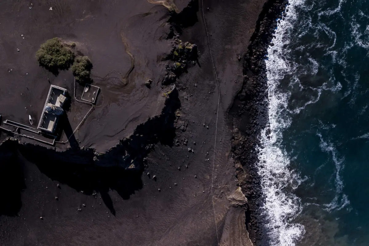 O tubarão-branco "esteve sempre relaxado, sempre tranquilo", destaca o guia do mergulho