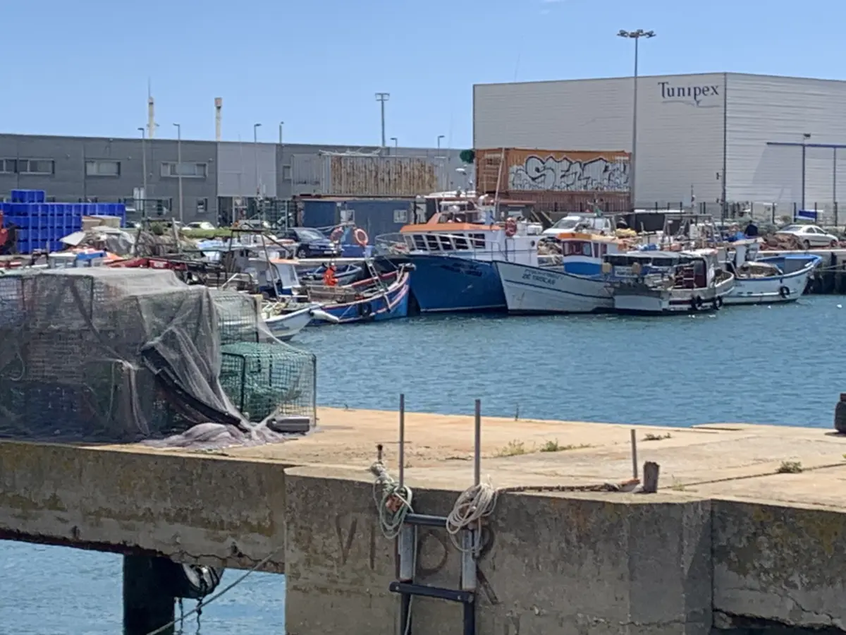 Imagem de contexto do artigo "É para o pescador, é para o pé descalço." Porto de pesca de Olhão com buracos no asfalto, armazéns sem água ou sanitários