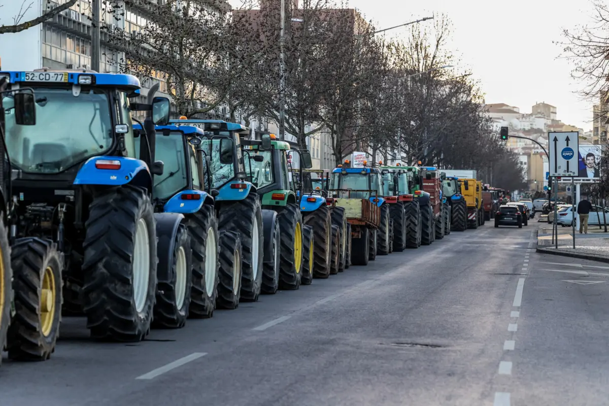 Imagem de contexto do artigo Baixo Mondego. Agricultores dizem que se "conseguiu pouco" na reunião com ministra, mas deixam Coimbra