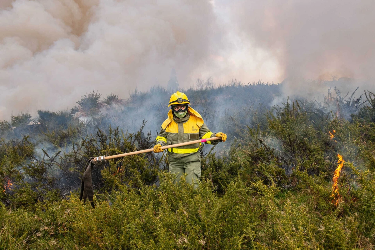Imagem de contexto do artigo Em prol da igualdade. Quem são as mulheres que combatem o fogo em Portugal?