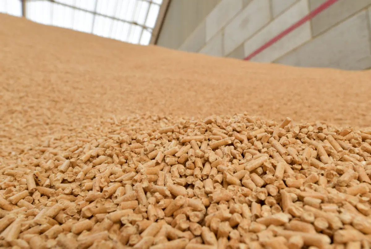 Os pellets são pequenos grãos de plástico com cinco milímetros de diâmetro