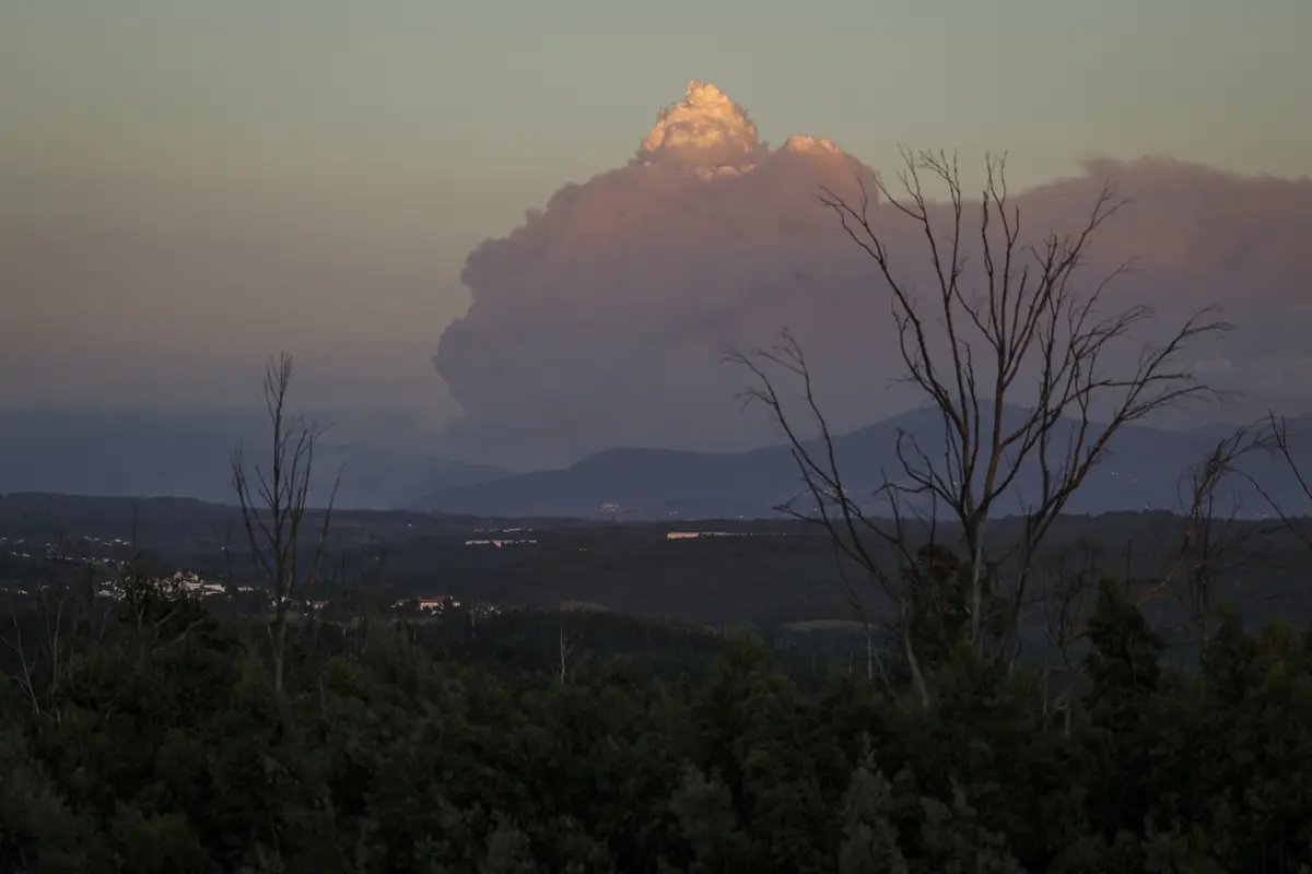 Imagem de contexto do artigo "Impacto vai perdurar no tempo." Incêndio de Arganil com maior área ardida de sempre em Portugal, turismo é setor mais afetado
