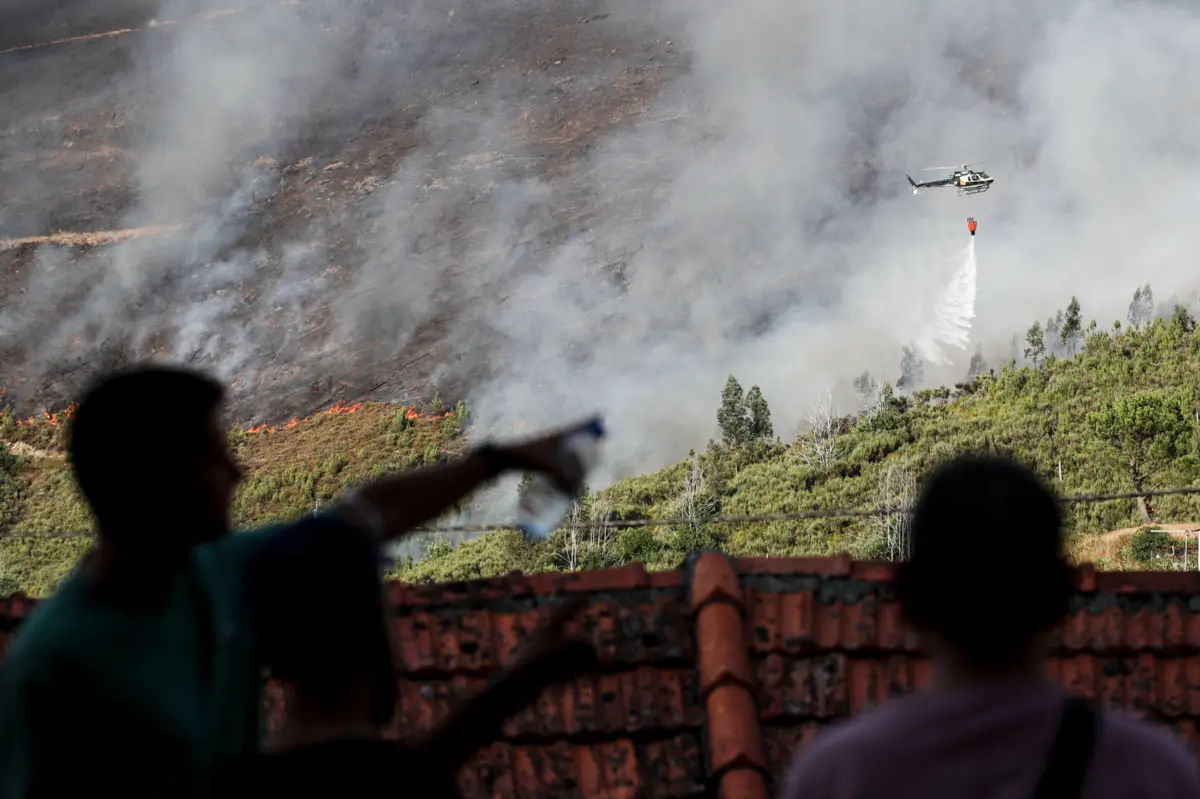 Imagem de contexto do artigo "Há mão criminosa com certeza." Autarca diz ser "muita coincidência" os grandes fogos em Sabrosa