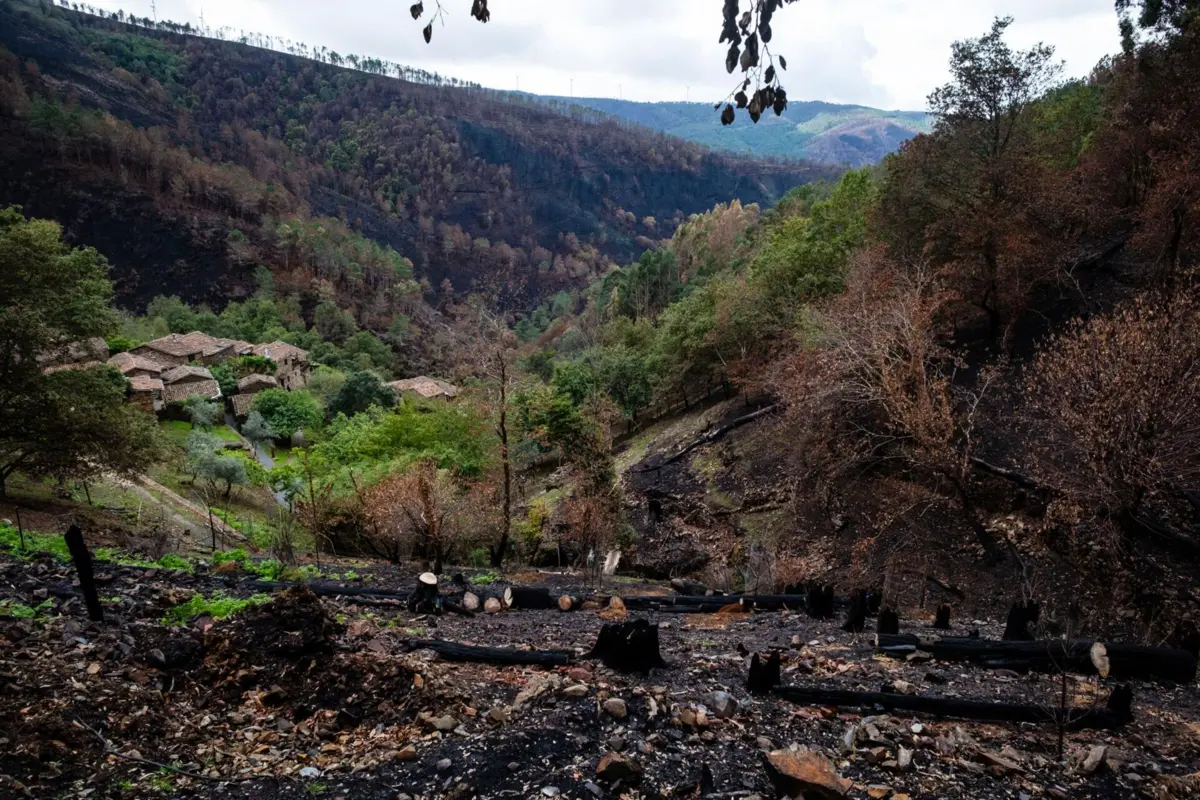 Imagem de contexto do artigo Afinal, gratuitidade dos registos no cadastro simplificado estende-se até junho de 2026