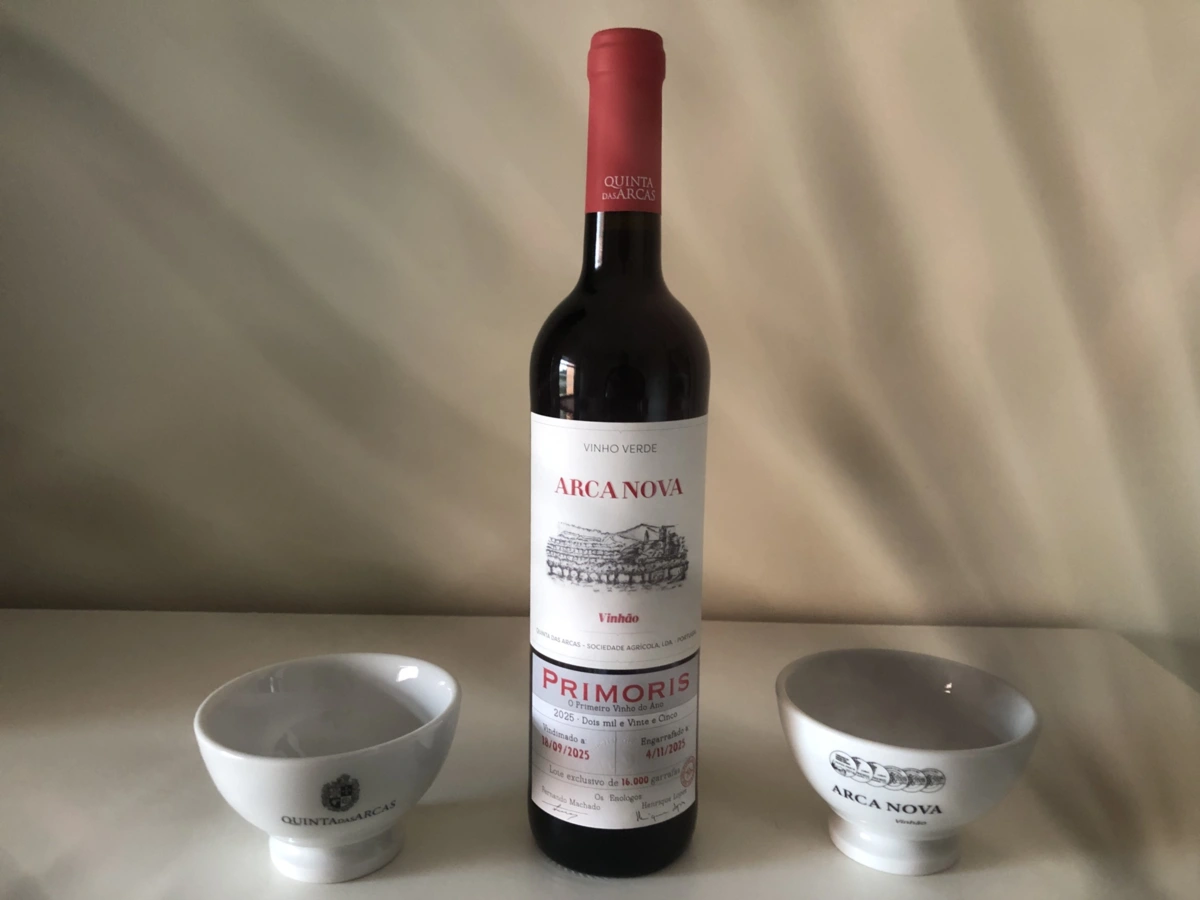 Imagem de contexto do artigo Primoris na celebração do São Martinho