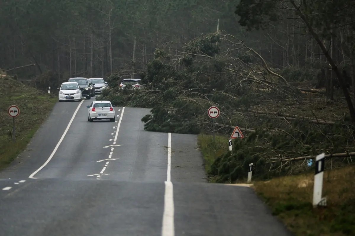 Estrada nacional 242, que liga Marinha Grande a Nazaré, condicionada depois da passagem da depressão Kristin, em Pataias, Alcobaça