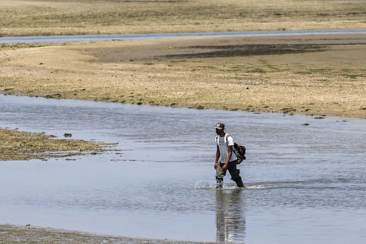 Foram ainda apreendidas duas viaturas e identificados dois indivíduos