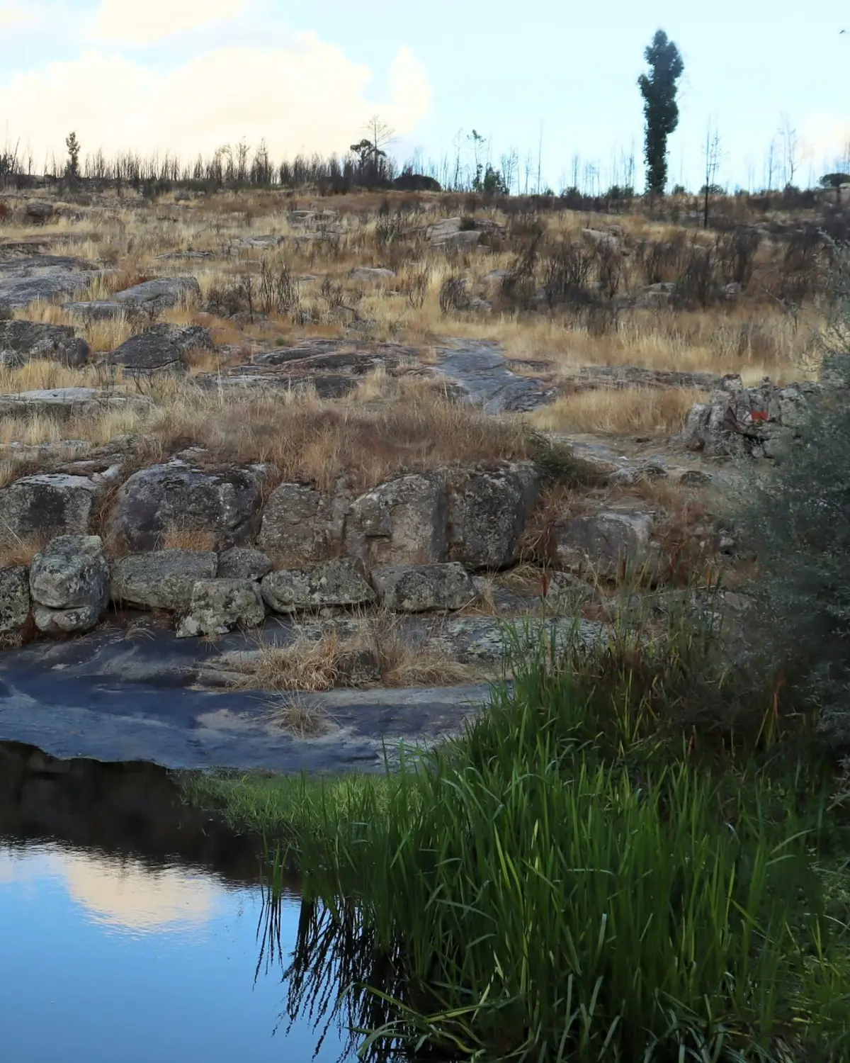 Imagem de contexto do artigo Rural Move vence Prémio Manuel António da Mota