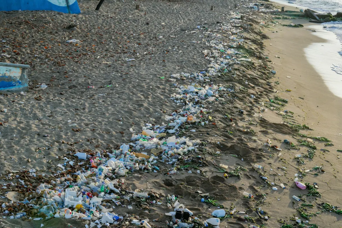 Imagem de contexto do artigo Projeto "Coastwatch": milhares de voluntários vão recolher lixo marinho e conhecer o litoral
