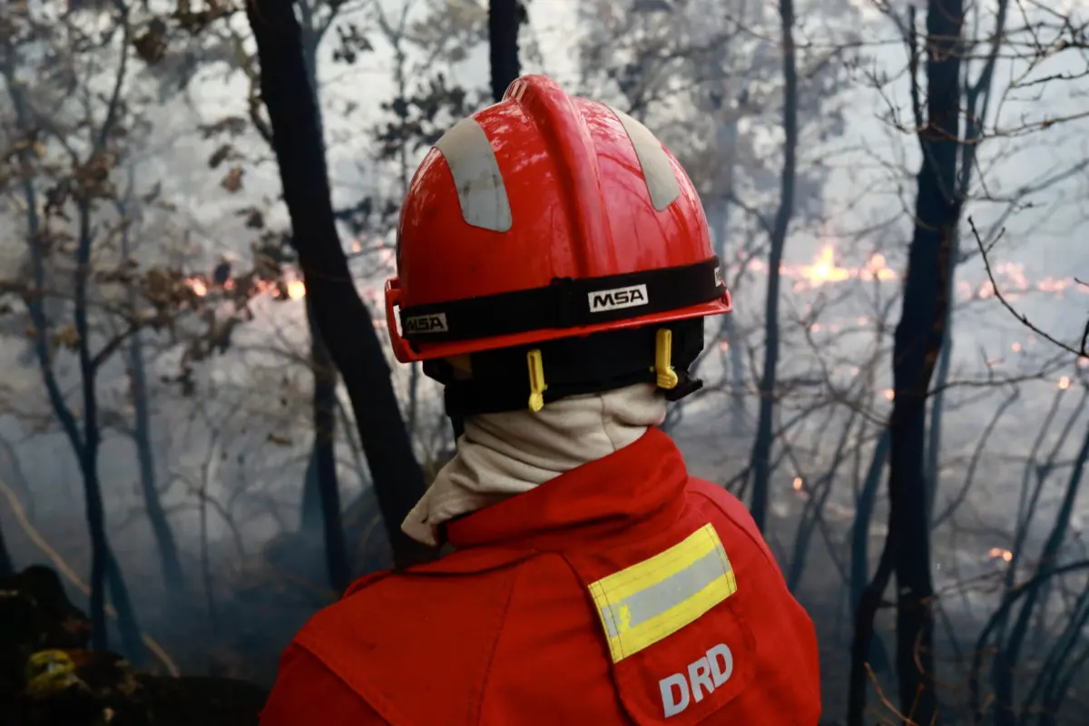 Imagem de contexto do artigo Fogo de Aljezur destruiu uma habitação e segue fora de controlo em direção a Lagos